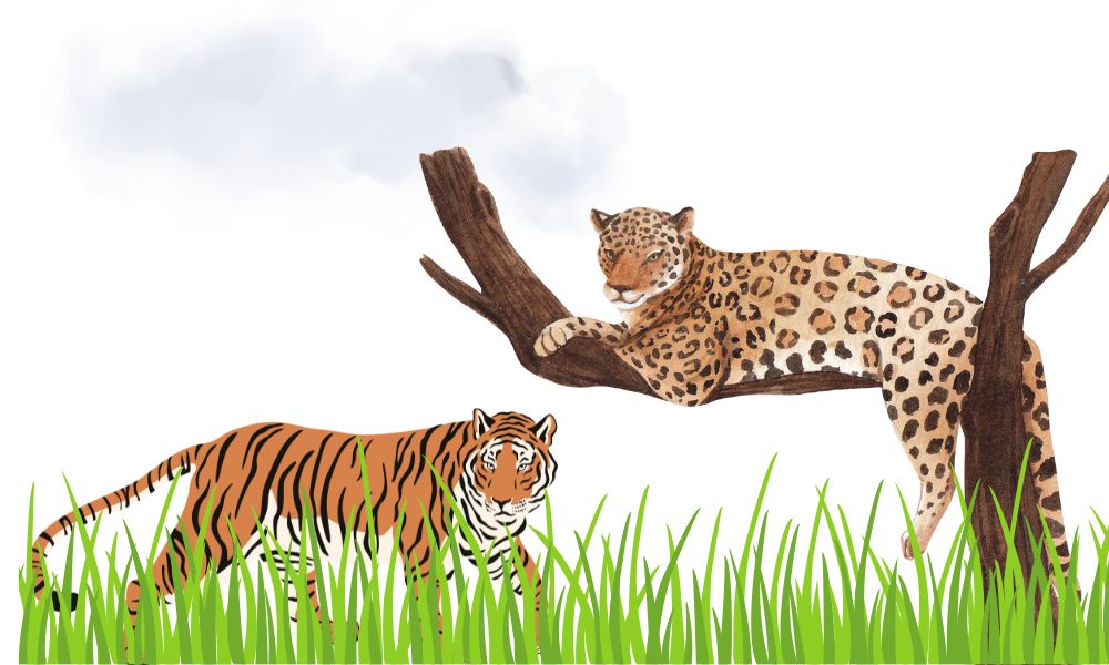 leopard and tiger bite force